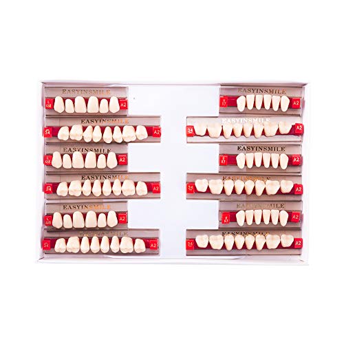 Image of Easyinsmile Dental Synthetic Resin Teeth A2 A3 False Upper Lower Teeth Replacement Dentures for Halloween (A2, Full Set 468+U67+34)