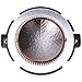 AFOULYKL Audio Replacement Horn Diaphragm for JBL/Selenium RPDD202Ti D220Ti and D2500Ti Horn Speaker Driver 8 Ohm