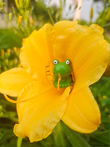 Yaartz 20 Pcs Resin Mini Frogs Tiny Green Frogs Miniature Figurines For Fairy Garden Terrarium Diy Craft Landscape Decor #TOP4