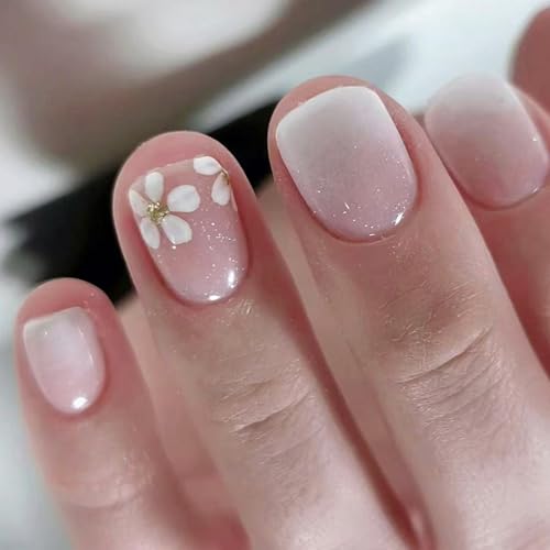 XNGAt[tFCNXeBbNI 12 TCY 24 t`qgA[gfR[VXeBbNIlC