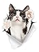 Winston & Bear Adesivi con Gatto 3D - 2 Confezioni - Adesivi Da Parete Gatto Bicolore Bianco e Nero - Frigorifero - Bagno - Camera - Automobile - Vendita al Dettaglio