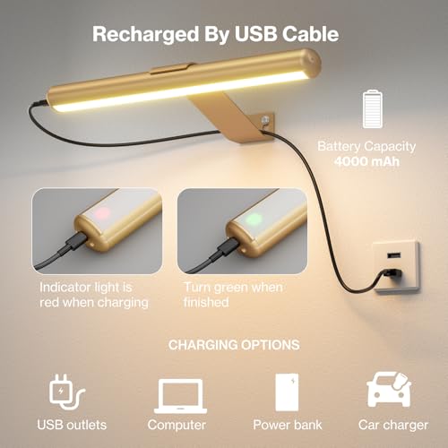 Image of Olafus Wireless Picture Light Rechargeable Battery Operated, Remote Control Painting Lamp with Removable Tube, Infinitely Dimmable, Timer, Photo Frame Art Light, Gallery Display Wall Light, Gold