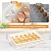 HANSGO Deviled Egg Containers with Lid, Deviled Egg Tray Holder Carrier with Lid for 24 Eggs for Home Party Kitchen Supplies Refrigerator Storage