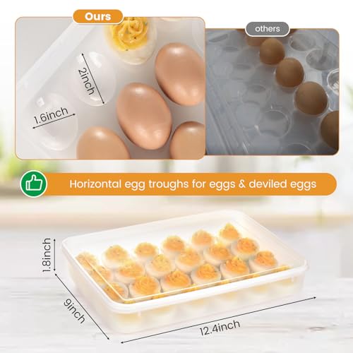 HANSGO Deviled Egg Containers with Lid, Deviled Egg Tray Holder Carrier with Lid for 24 Eggs for Home Party Kitchen Supplies Refrigerator Storage - Image 3