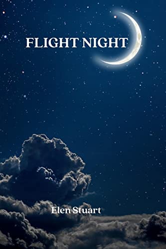 Flight Night view 2