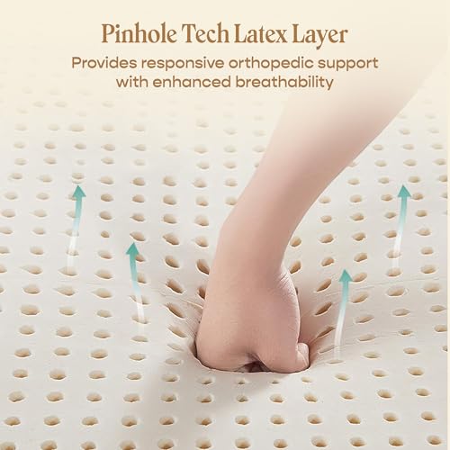 Image of SleepyCat Latex Ortho Mattress | Firm Pinhole Latex Mattress for Back Support | Orthopedic Bed Mattress | 10 Year Warranty (Double Size, 72x48x5 Inch)