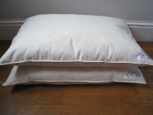 The Bettersleep CompanyHotel Quality Goose Feather & Down Pillow Pair - 100% Cotton Cover