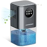 Homtronics
