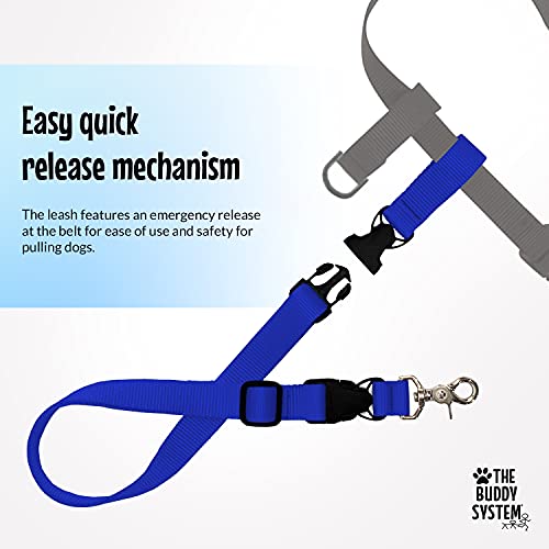The Buddy System Adjustable Hands Free Dog Leash, Hand-Free Leash For Running, Jogging, Walking, Hiking And Training Service Dogs, Versatile All Dog Sizes - Made In Usa - Regular, Blue #TOP4