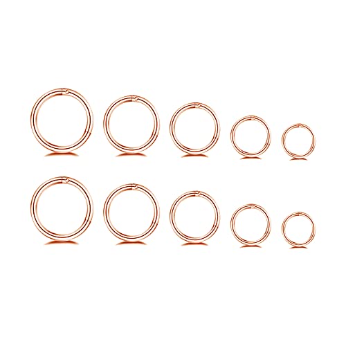 [EDVTSIHR] 5yApXeX|16GX[p[Daith Tiny Small Hoop Ear Mini Septum Hinged Clicker Nose Ring Helix Tragus Piercings Unisex Fas