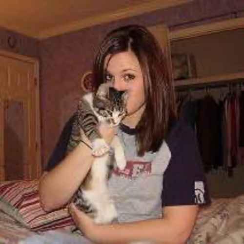 Phone Notes cover art