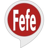 blogger definition  Fefes Blog (Flash Briefing)