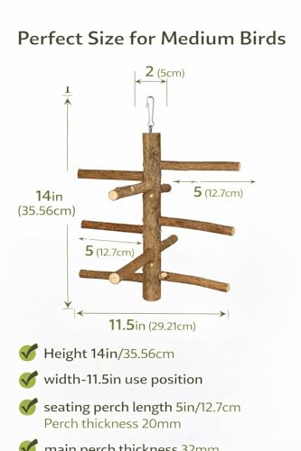 Image of KSK Natural Wooden Parrot Stand & Bird Perch - Tree Style Bird Perch for Cage & Table Top | Strong Natural Wood Training Perch for Parrots, Cockatiels, Conures, African Grey, Budgies & Medium Birds