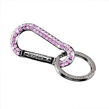 DADギャルソン/DADロゴキーリングクリスタル新品未使用廃盤品 楽天市場】D.A.D クリスタル S字カラビナ キーリングミニ SB190