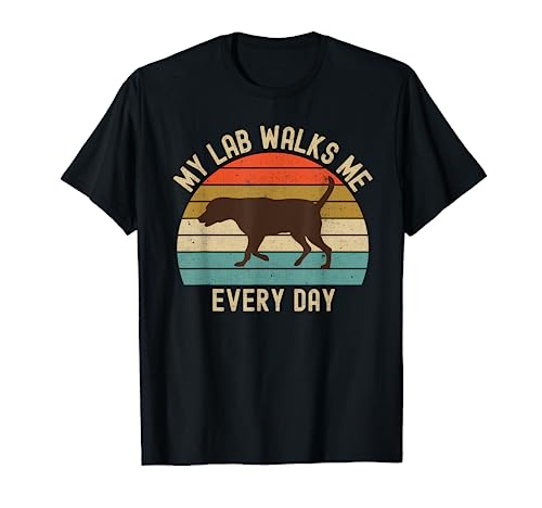 Chocolate Lab Mom Dad My Labrador Retriever Walks Me Camiseta