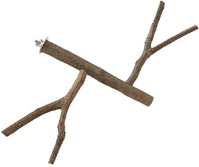 BCOATH Parrot Standing Pole Parakeet Natural Home Decor Stands for Decoration Hardwood Bird Perch Bird Cage Perch Toy Parrot Stand Wood Bird Cage Accessory Wood Perch Bird Home Decoration