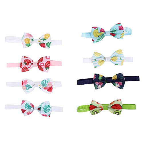 ORFOFE ybgplN^C plN^C ߉\ȃt[c ʋCf ^ ^ L qL tH[}p[eB[ a ʐ^Bep 8Zbg X^Cws