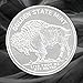 1/10 oz .999 Buffalo Authentic Silver Round