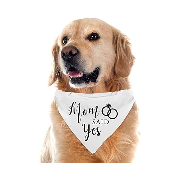 Dad asked and mom said yes dog bandana, wedding engagement photos bridal shower gift, pet accessories for dog lovers, maid of honor wedding dog bandana, pack of 2 - image 5