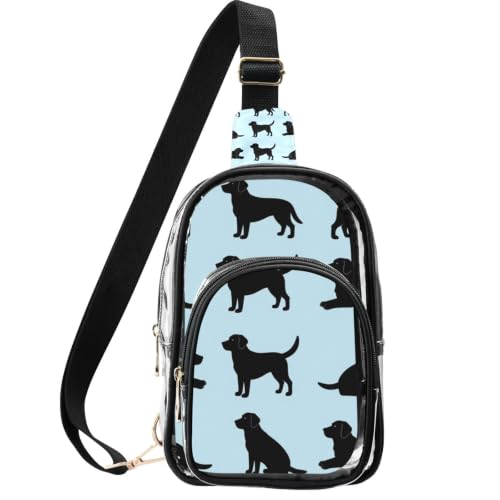 Bolsa transparente compacta y elegante con bolsillos organizadores y cremalleras