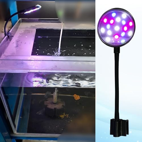 Image of JAINSONS PET PRODUCTS Multicolor Mini Clip Lamp | 7W Aquarium Light | Huayao HY-130R Adjustable Clip-On Lamp for Fish Tank (Pack of 1)