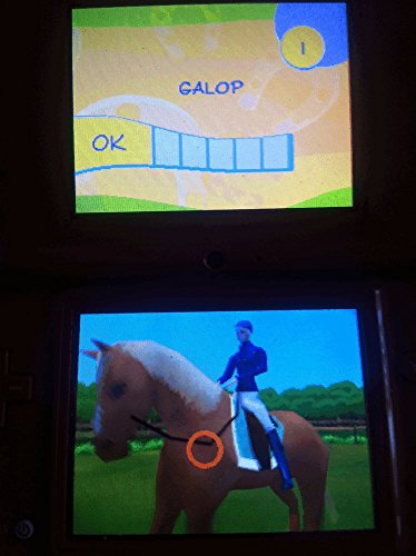 Alexandra Ledermann 2 : Mon Aventure Au Haras Jeu Nintendo Ds - vue 5