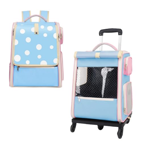 JNNJsp̃LX^[tg[ybgobOt|[^uLX[cP[XAeʁAybgpʋCobNpbN (Cgu[)