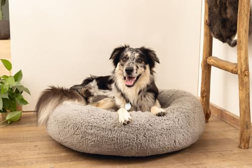 Beeztees Jaxx - Orthopädisches Hundebett - Grau - 60x60x25 cm