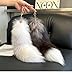 ASkinds Fluffy Fox Tail Fur Keychain Cosplay Toy Party Costume Furry Wolf Tails Handbag Accessory Key Chain Ring Hook for Women(White+Black)