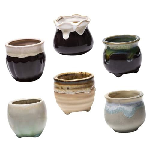 Pots en céramique émaillée BESPORTBLE pour succulentes x6 - 2