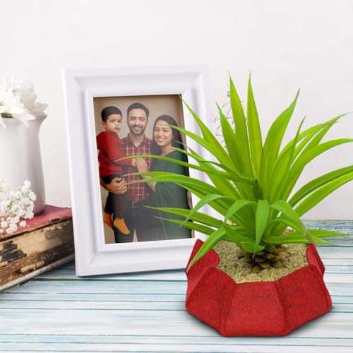 Image of Geo Fabric Grow Bags for Plants 10X3 Inch (Pack of 1) | 400 GSM Heavy Duty UV-Protected Round Maroon Colour Plant Bags for Terrace and Vegetable Gardening | Strong & Reusable|