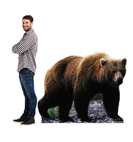 Image of Cardboard People Grizzly Bear Life Size Cardboard Cutout Standup