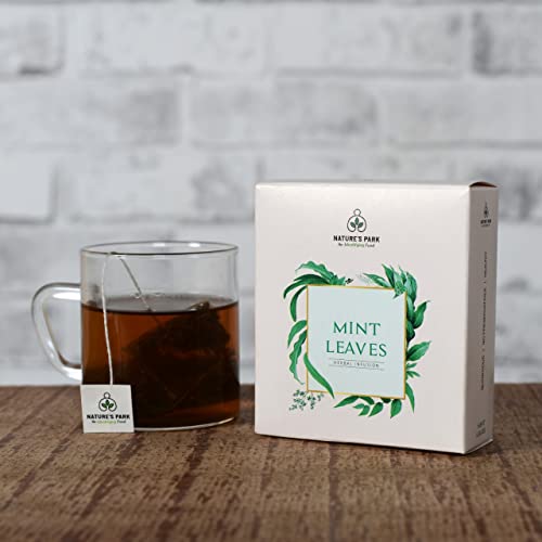 Image of Mint Herbal Infusion Pyramid Infusion TeaBags - 5