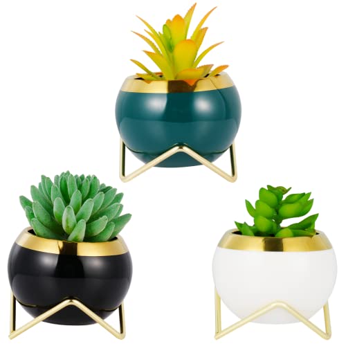 Battipaw 3Pcs Air Plant Holders | Unique Large Ceramic Plant Pots W/ Metal Stand For Cacti & Succulents #TOP18
