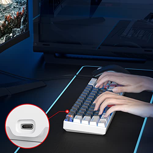 Image of 60 Percent Gaming Keyboard 68 Keys Mechanical Keyboard LED Backlit Compact Wired Keyboard with Red Switch for Windows PS4 /5 Xbox Gamer(White-Black)