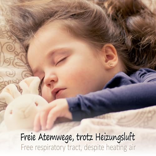com-four® 3x Luftbefeuchter aus Keramik - Heizkörper-Verdunster zum Befeuchten der Raumluft - Wasserverdunster mit S-Förmigen Haken - Heizungsverdunster