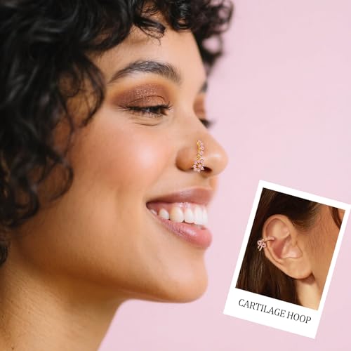 Hoop Nose Rings for Women Nose Piercings 20G Stainless Steel Nose Rings Hoops Heart Butterfly Flower Bow Teardrop Double Nose Hoops Gold Silver Pink Clear CZ Nose Piercing Jewelry4