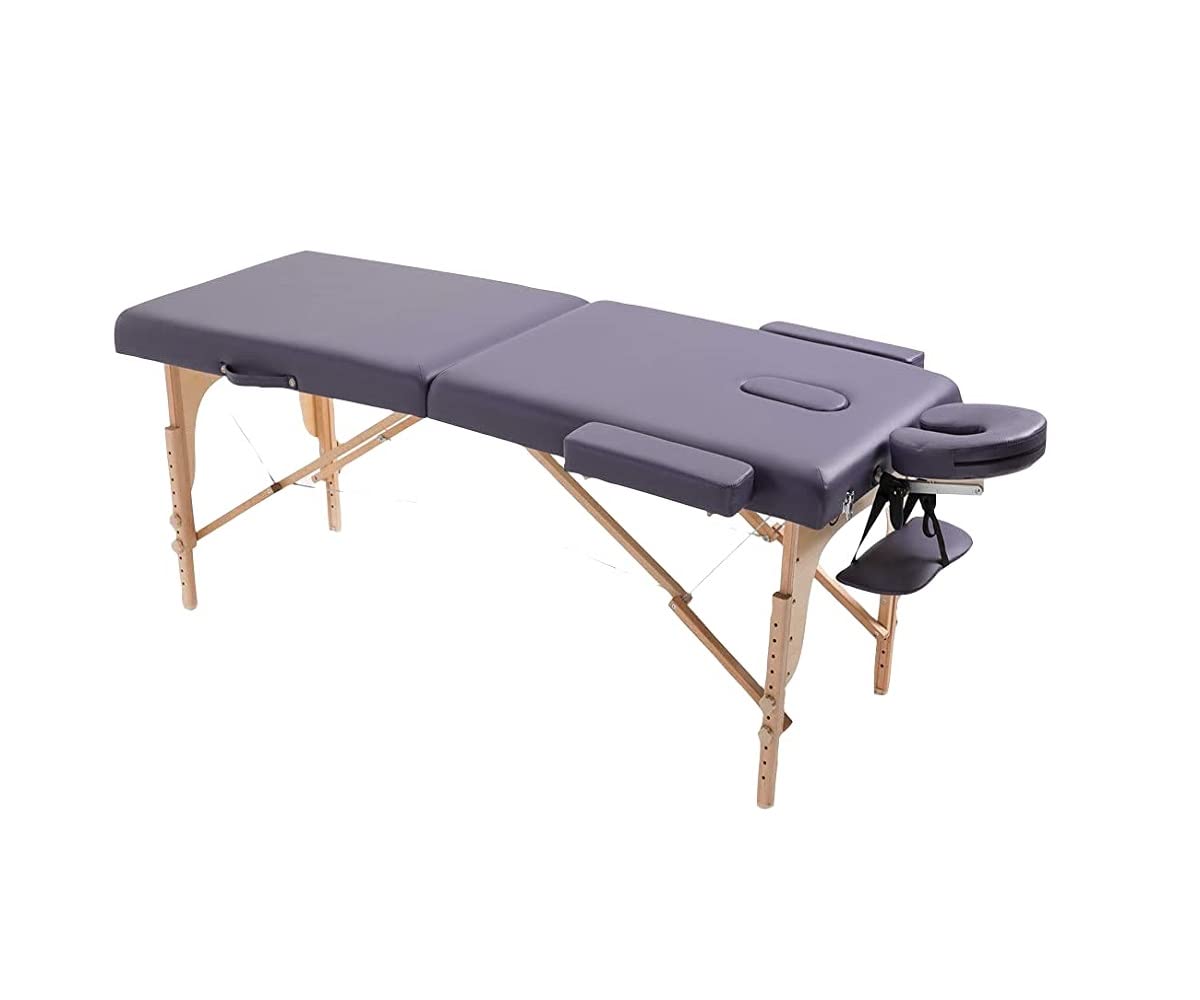 ACi Massage Table Lash Bed Spa Bed Pu Portable Massage Bed Adjustable Height 2 Fold W/Free Carry Case Foldable Lightweight Wax Table Eyelash Bed Tattoo Bed with Head Rest Arm Sling (Grey) (B0BL1DRXMG) Amazon Price History, Amazon Price Tracker