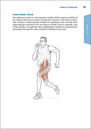Functional Training Anatomy - Image 3