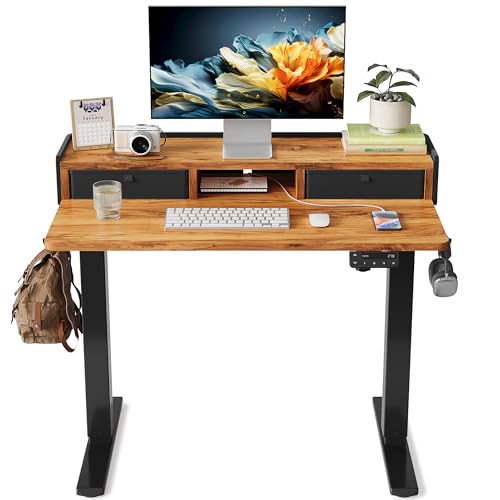 YIHAYO Electric Standing Desk with Drawers, 40 x 24 Inches