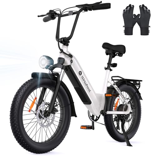 Isinwheel U8/U8 Pro Electric Bike, 45KMH 1000W Peak Motor Step-Thru Ebikes for Adults, 48V 18/13AH Hidden Battery Max 168/120KM PAS Range Commuting, 20x3 Fat Tire Electric Bicycle for Women,