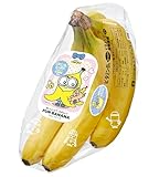 フィリピン産 ファン�