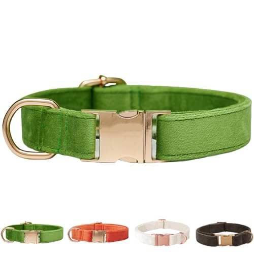 Collar de terciopelo para perro pequeño y mediano, talla S verde