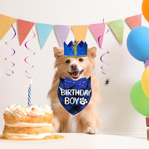 Stmk Dog Birthday Party Supplies thumb #1