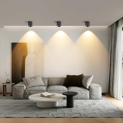 Image of JAYMP Modern LED Ceiling Spotlight 3000K Dimmable 24W Black Surface Mount Cylinder Down Light for Living Room Hallway Laundry Room