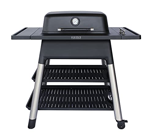 FORCE 2 Burner Gas Grill