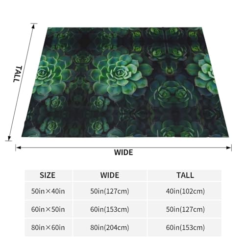 Couverture en peluche compacte et douce pour lit et voyages - 5
