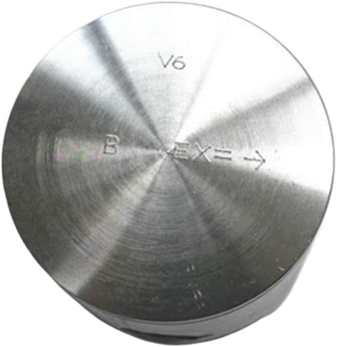 Piston Kit With Pin 55.9MM Replacement For Ceramic Cylinder 55.9MM Compatible With Super Quality CC