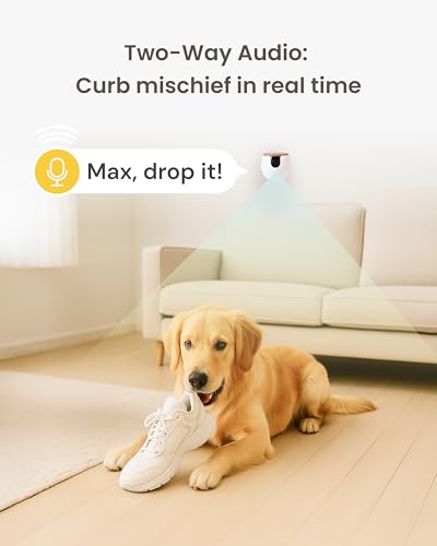 Furbo Mini Haustierkamera [Basic]: Kleine Kamera, große Sicherheit & Seelenfrieden | Kompakte intelligente Kamera, Farbnachtsicht, 2-Wege-Audio, Bell- oder Miauen-Alarm, mit Handy-App, Innenkamera