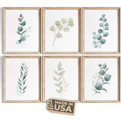 Botanical Prints Wall Art - Eucalyptus Leaves - (Set of